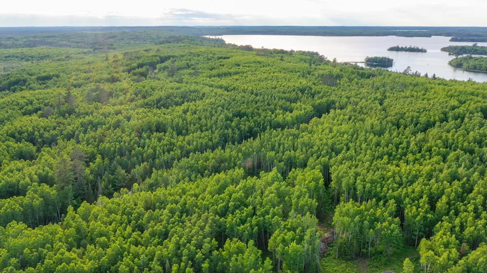 TBD Parcel X Frazer Bay Road Cook, MN 55723