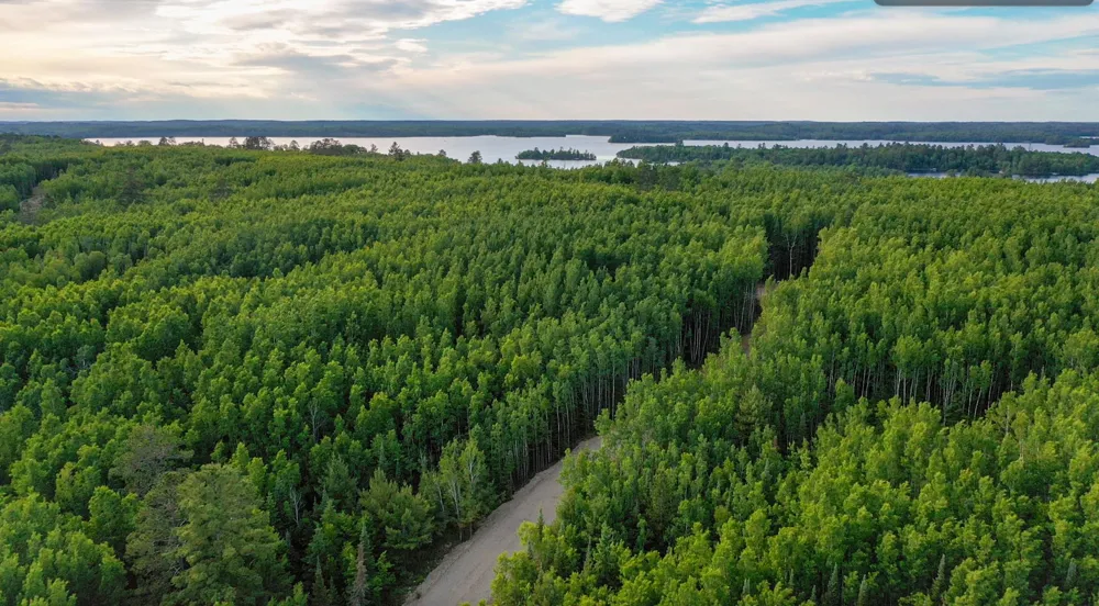 TBD Parcel X Frazer Bay Road Cook, MN 55723