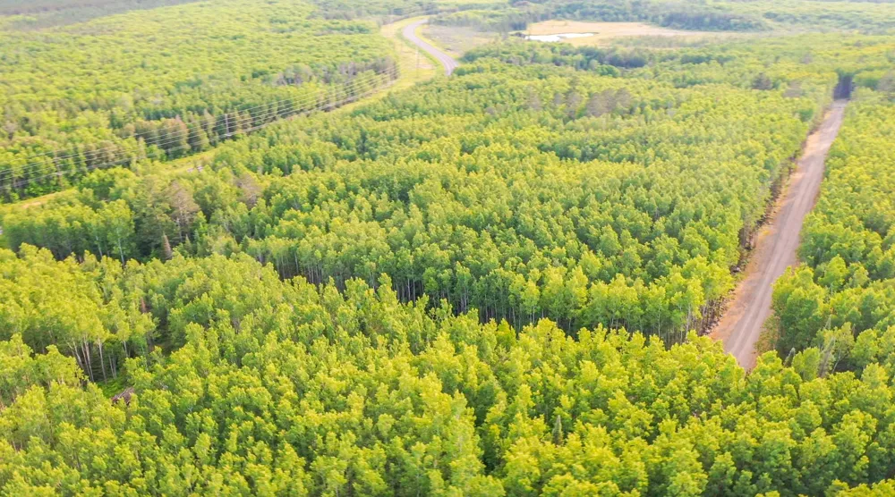TBD Parcel 22 Frazer Bay Road Cook, MN 55723