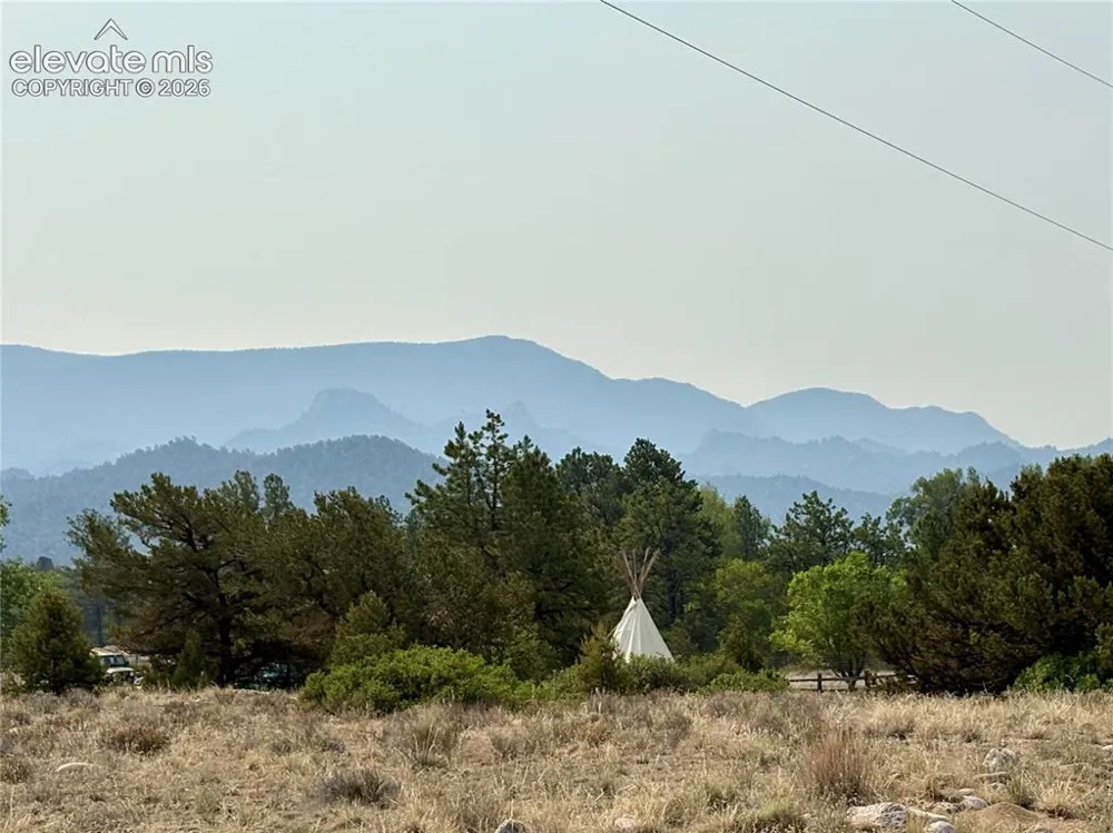 10795 County Road 197A #127 Nathrop, CO 81236