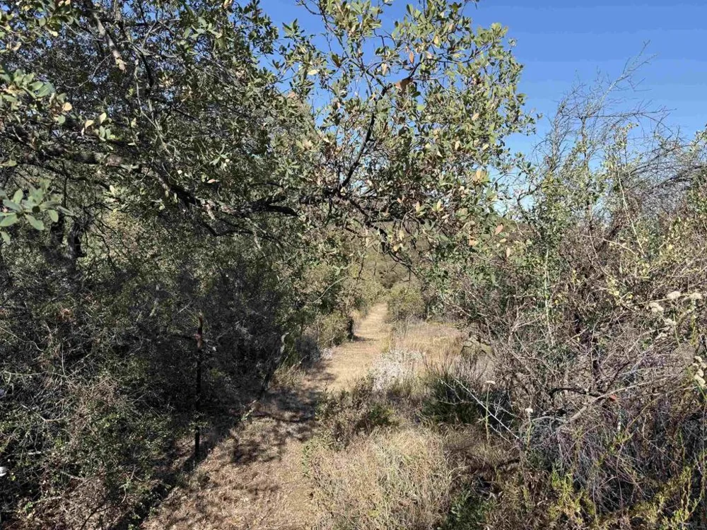 22815 Illahee Dr. Alpine, CA 91901