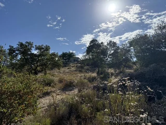 22815 Illahee Dr. Alpine, CA 91901
