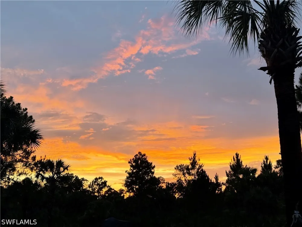 Ivy Way Naples, FL 34117