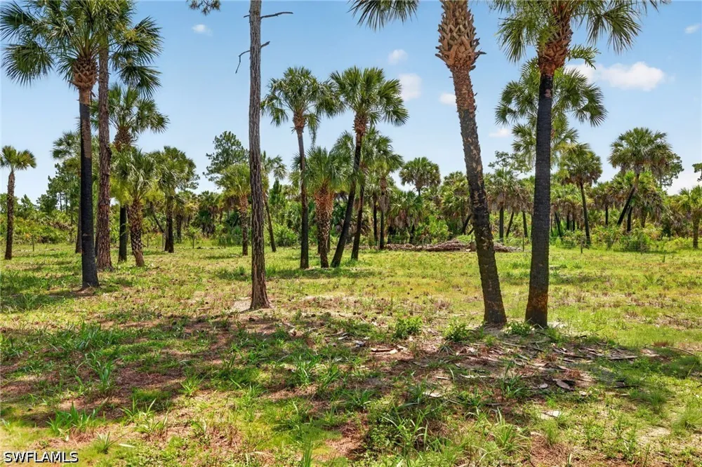 Ivy Way Naples, FL 34117