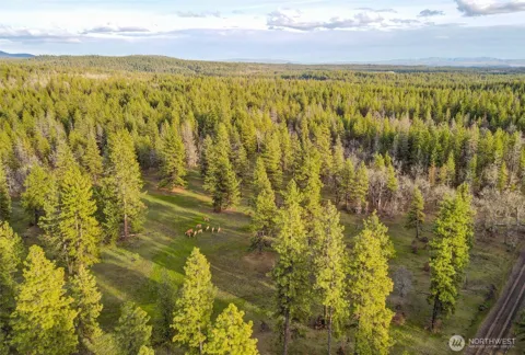 0 Lot 15 Greyback Mt Road