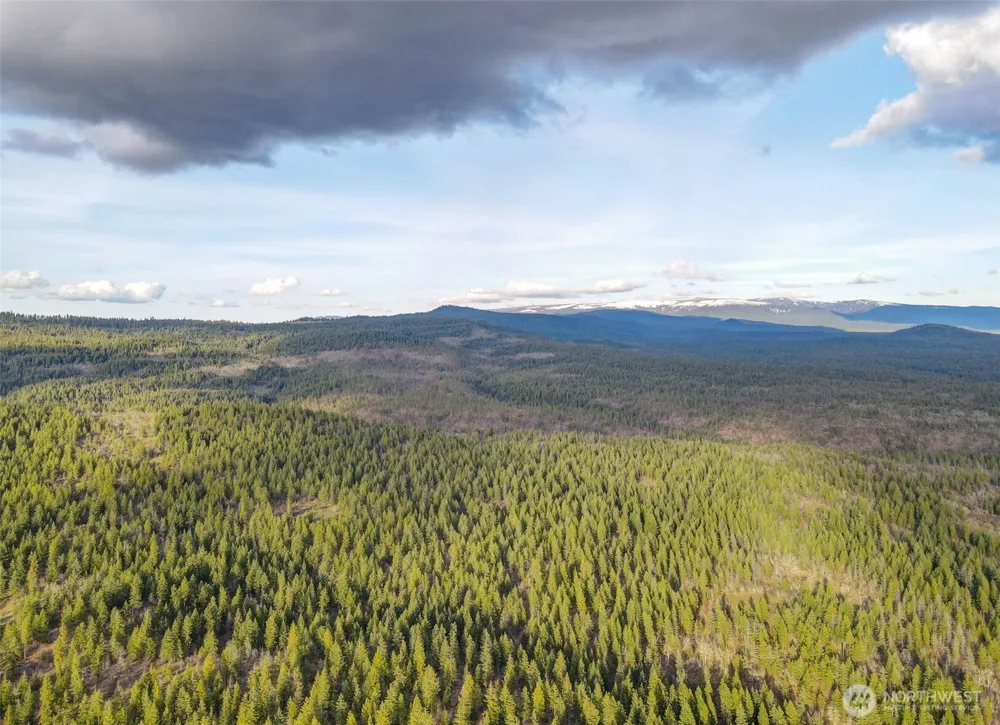 0 Lot 15 Greyback Mt Road Goldendale, WA 98620