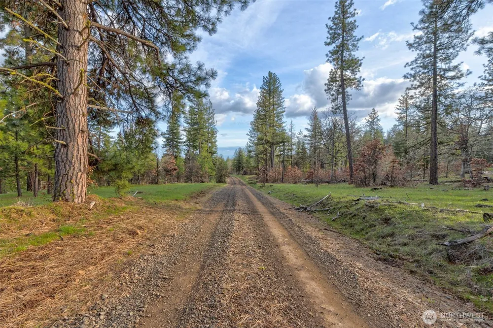 0 Lot 15 Greyback Mt Road Goldendale, WA 98620