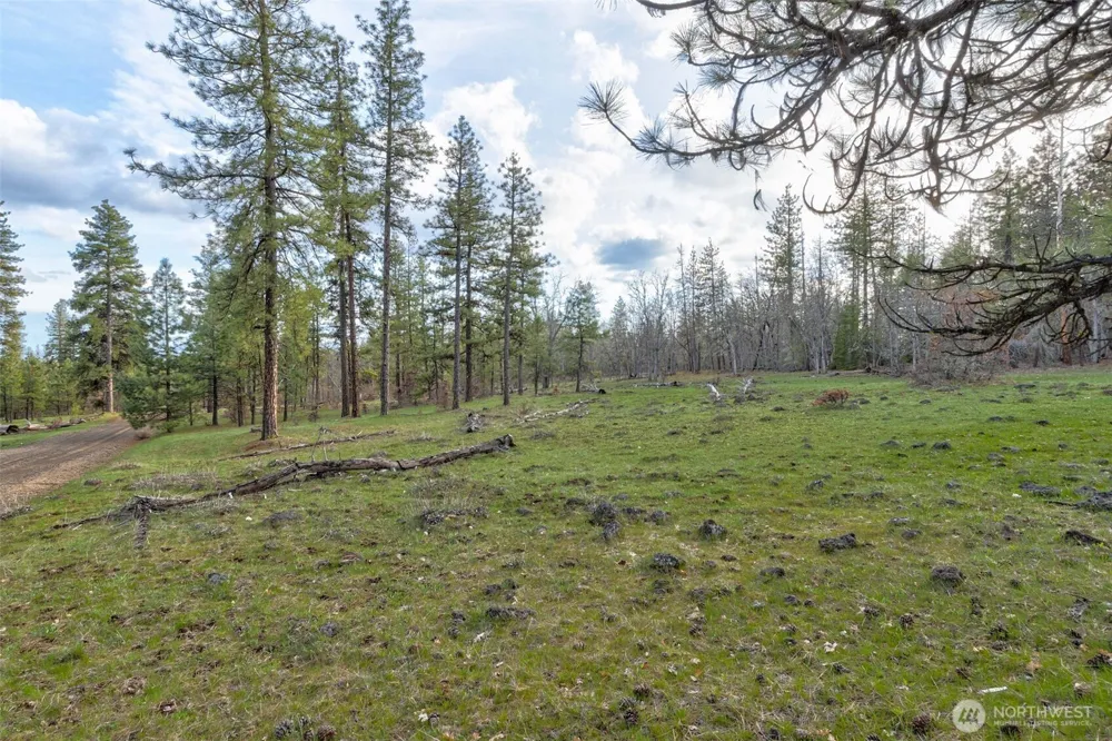 0 Lot 15 Greyback Mt Road Goldendale, WA 98620