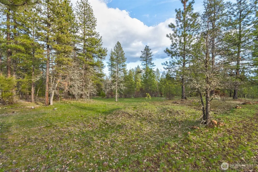 0 Lot 15 Greyback Mt Road Goldendale, WA 98620