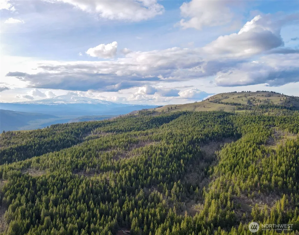 0 Lot 15 Greyback Mt Road Goldendale, WA 98620