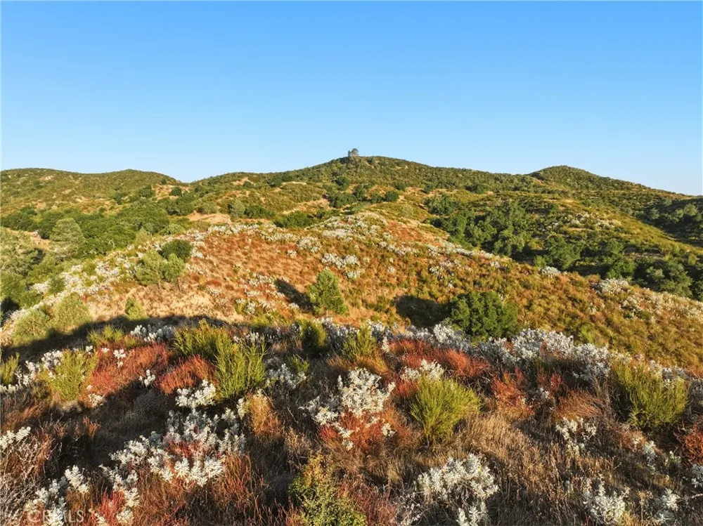 5885 Lion Ridge Creston, CA 93432