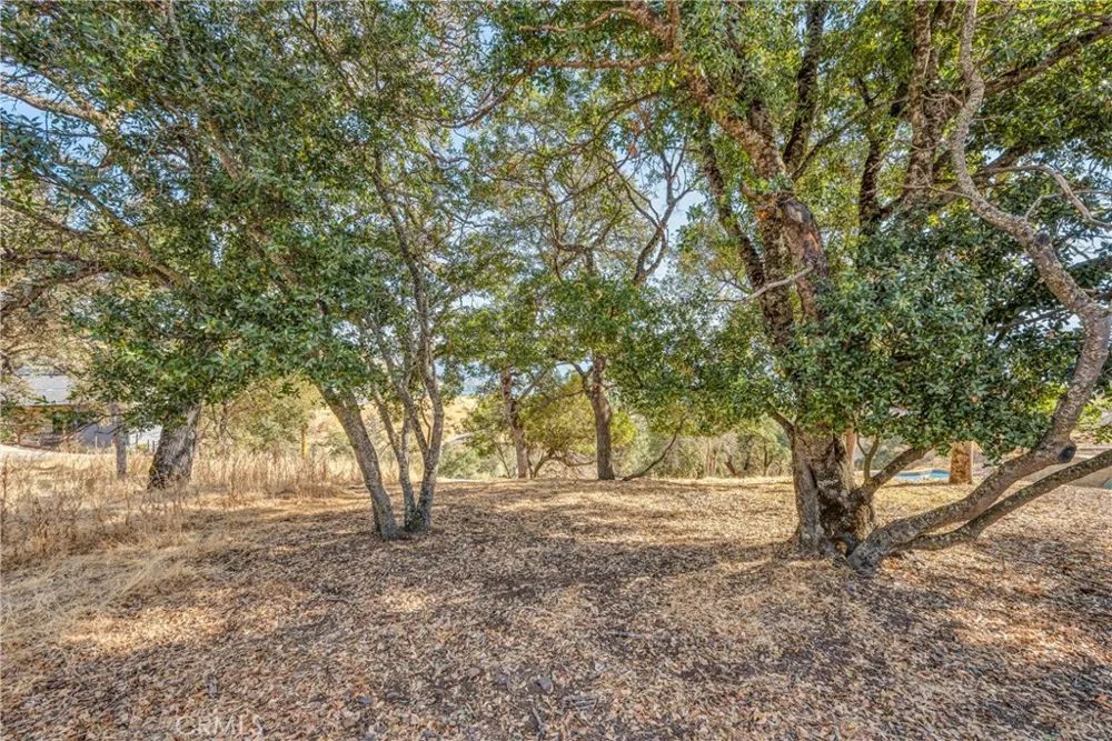 3012 Oak Crest Drive Clearlake, CA 95422