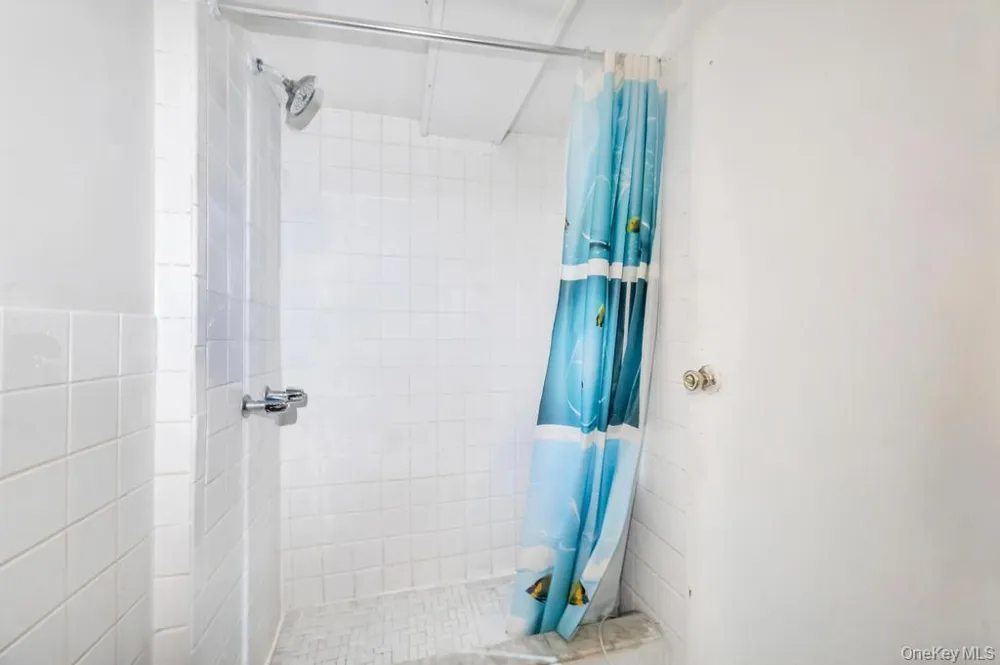 9419 96th Street Ozone Park, NY 11416