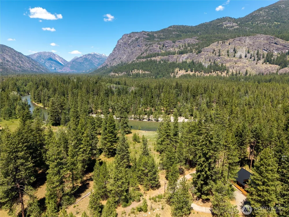 65 Mazama Pines Lane Mazama, WA 98833