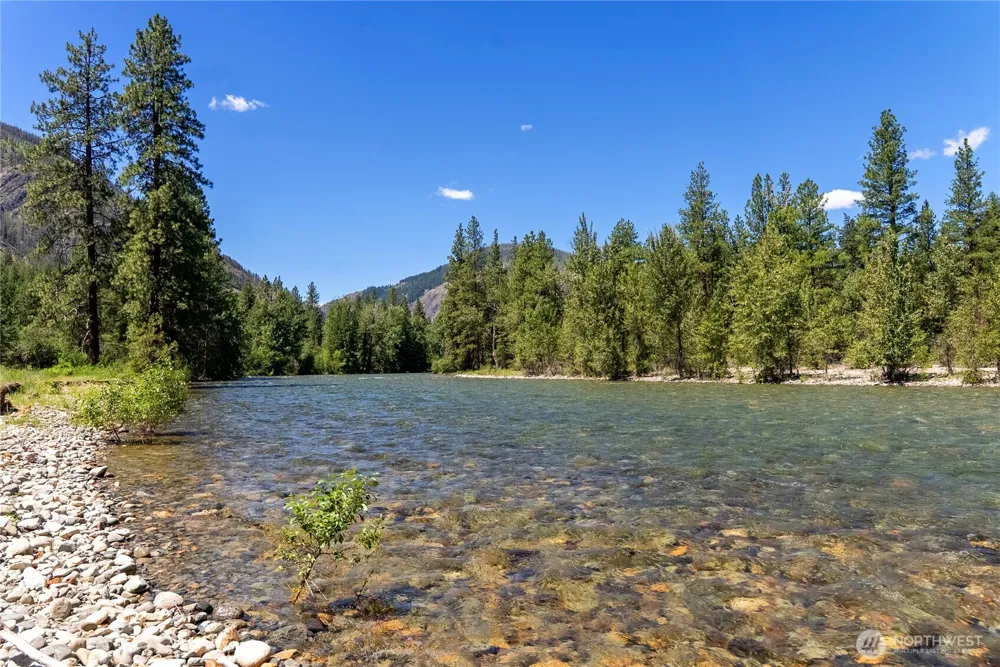 65 Mazama Pines Lane Mazama, WA 98833