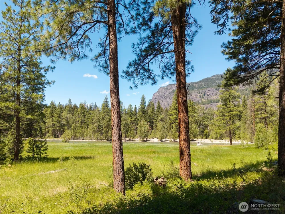 65 Mazama Pines Lane Mazama, WA 98833