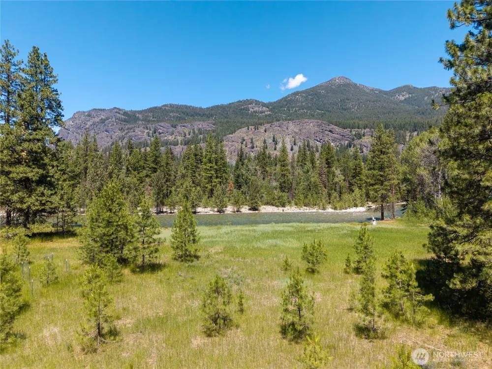65 Mazama Pines Lane Mazama, WA 98833