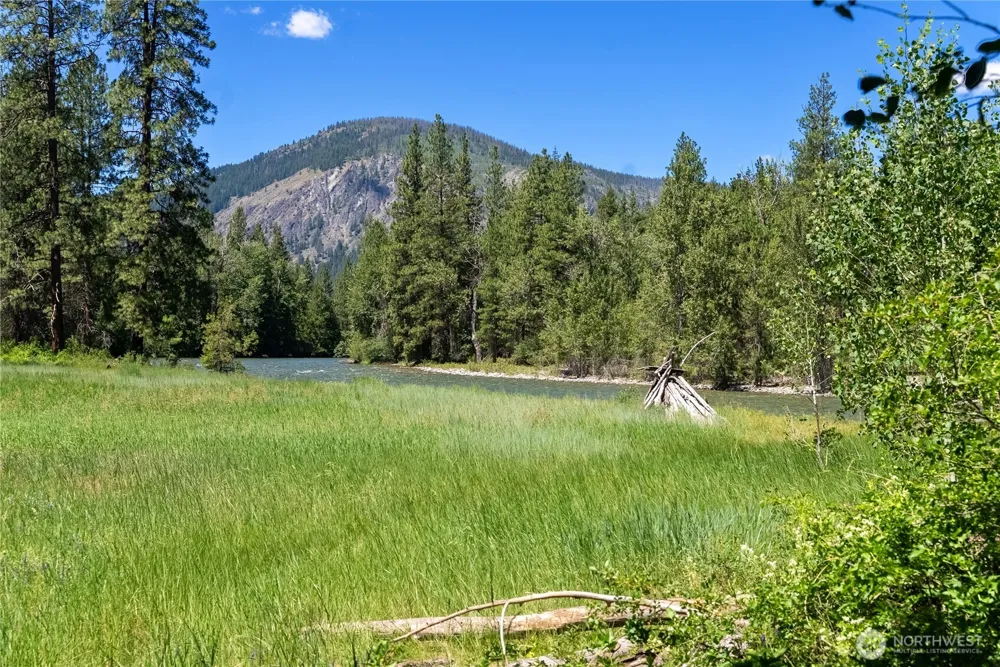 65 Mazama Pines Lane Mazama, WA 98833