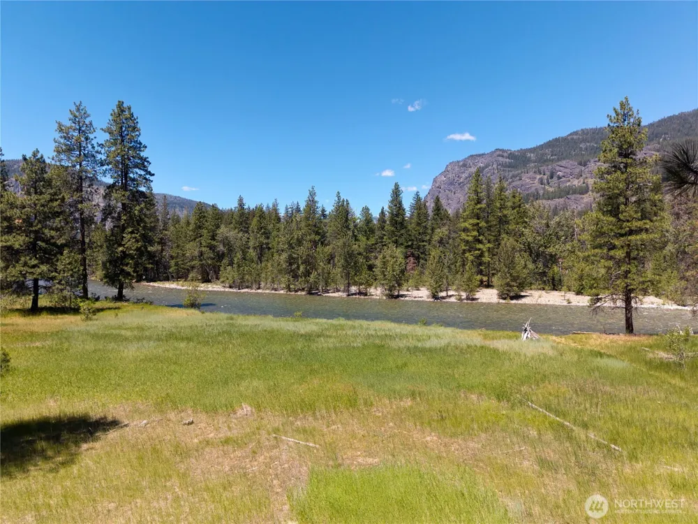 65 Mazama Pines Lane Mazama, WA 98833