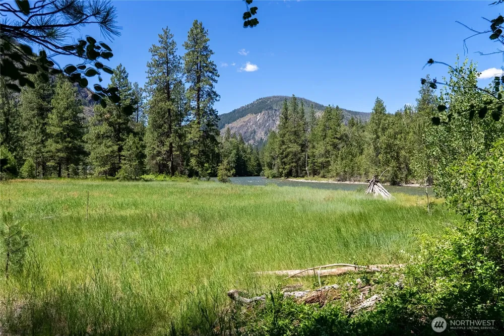 65 Mazama Pines Lane Mazama, WA 98833
