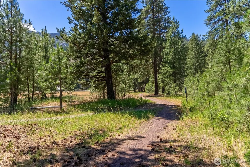 65 Mazama Pines Lane Mazama, WA 98833