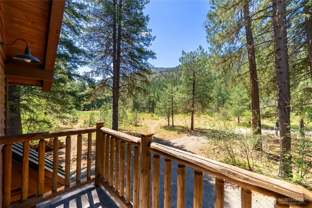 65 Mazama Pines Lane Mazama, WA 98833