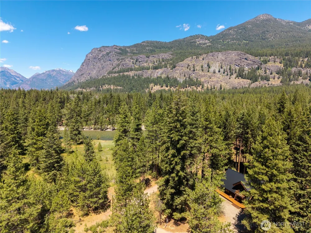 65 Mazama Pines Lane Mazama, WA 98833