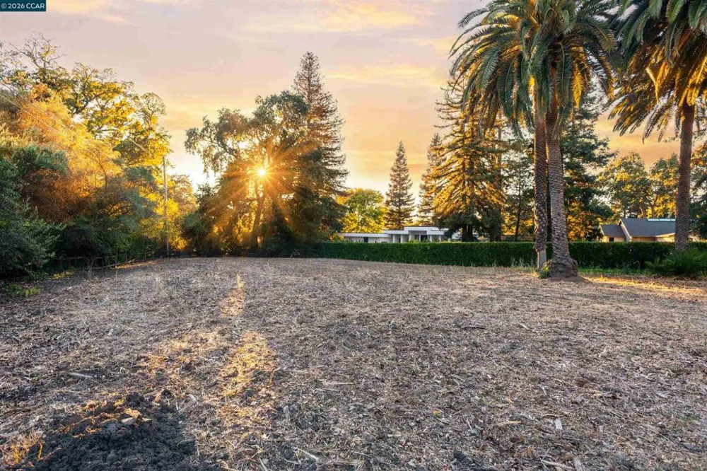1924 Alameda Diablo Diablo, CA 94528