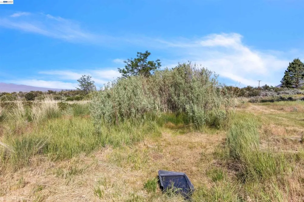 452 US Hwy 395 Milford, CA 96121