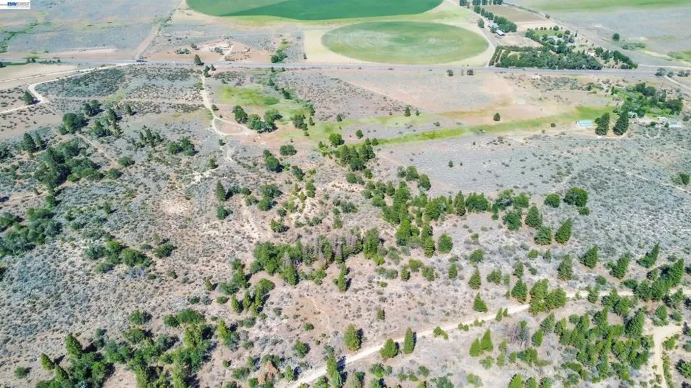 452 US Hwy 395 Milford, CA 96121