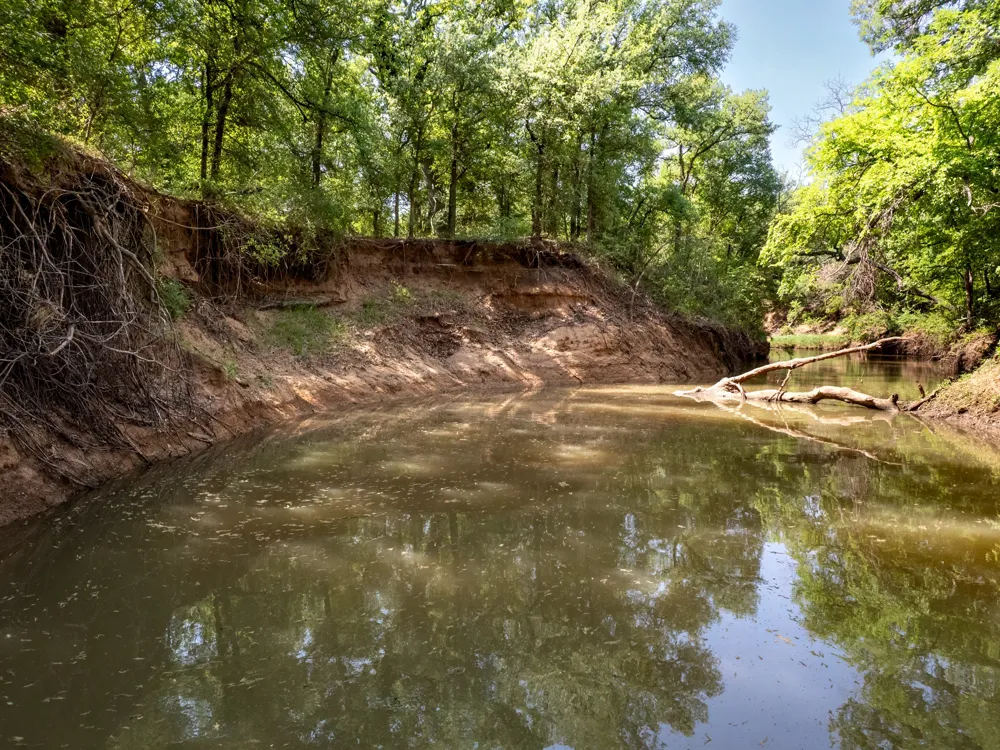 3051 County Road 411 W Brownwood, TX 76801