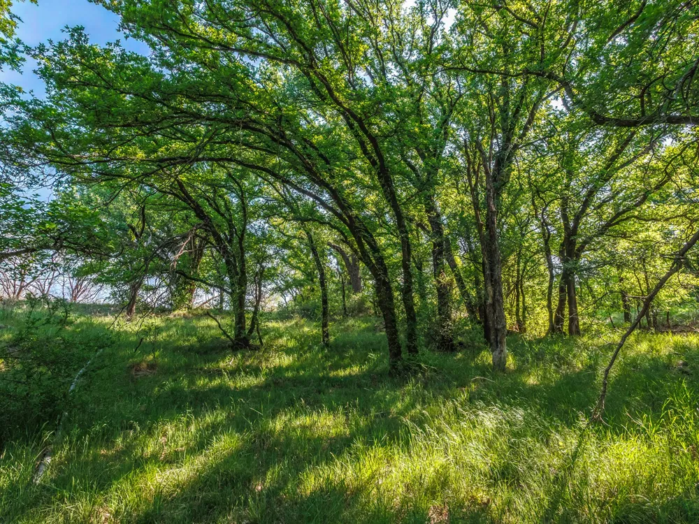 3051 County Road 411 W Brownwood, TX 76801