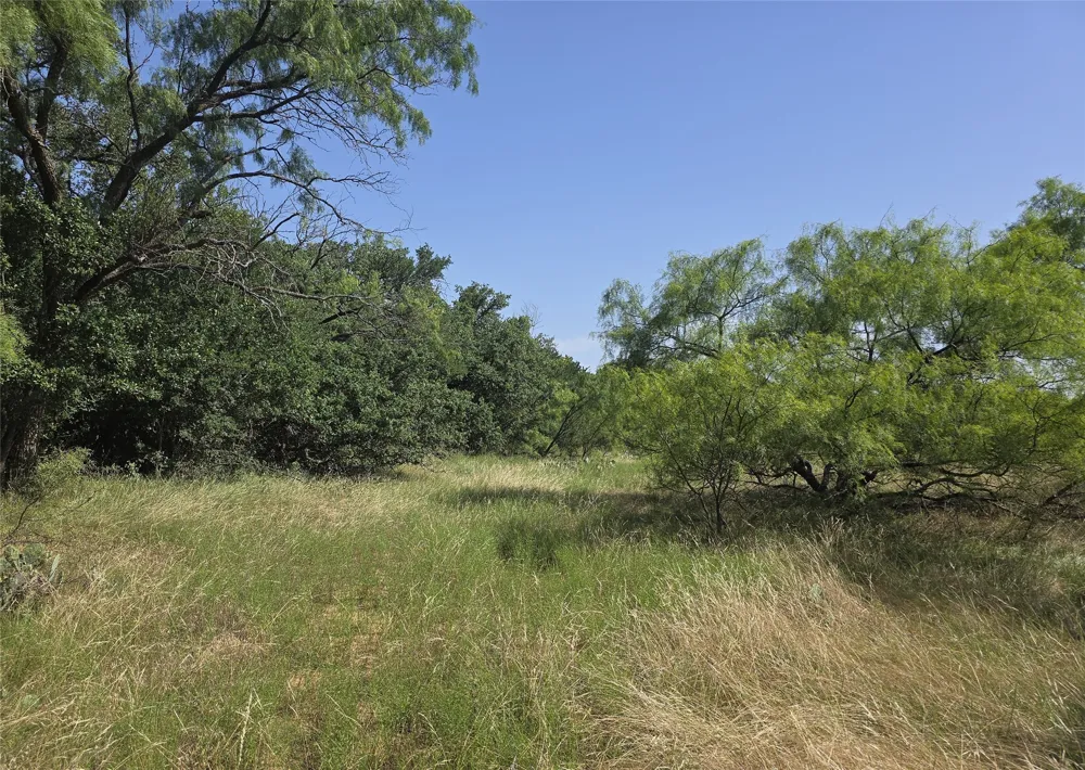 3051 County Road 411 W Brownwood, TX 76801