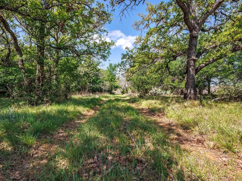 3051 County Road 411 W Brownwood, TX 76801
