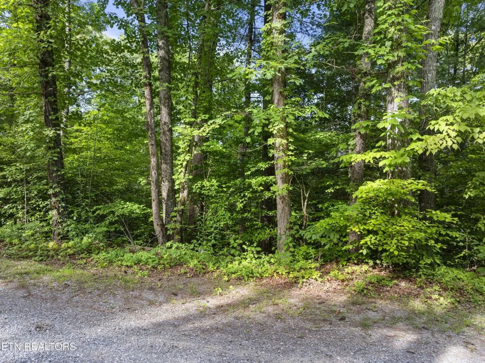 0 Grouse Top Rd Walland, TN 37886
