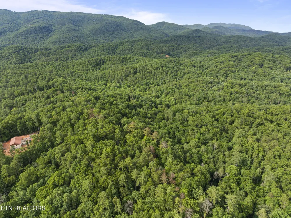 0 Grouse Top Rd Walland, TN 37886