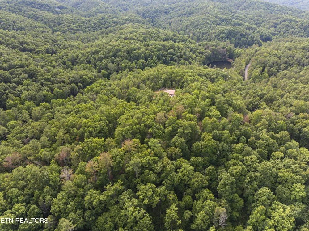 0 Grouse Top Rd Walland, TN 37886