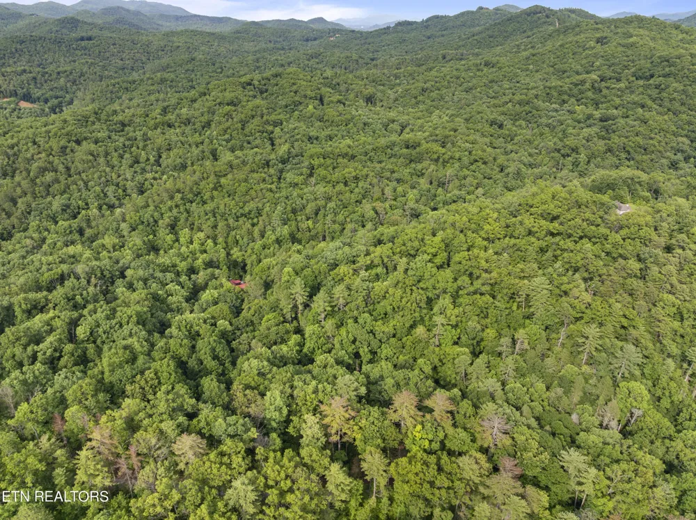 0 Grouse Top Rd Walland, TN 37886
