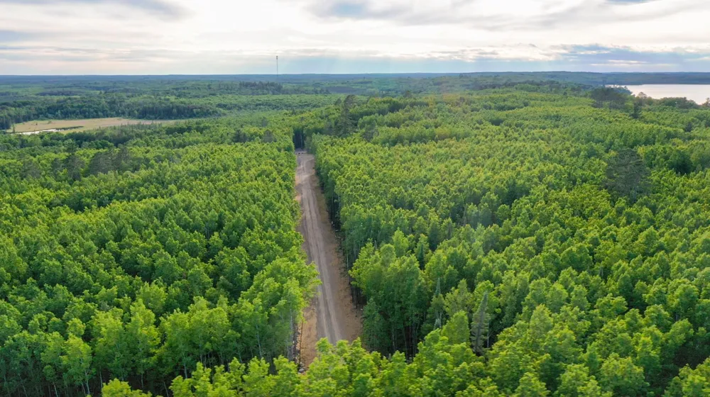 TBD Parcel 27 Frazer Bay Road Cook, MN 55723