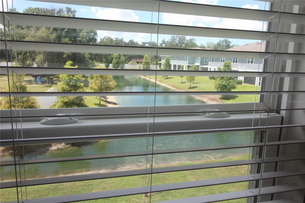 2135 LACEFLOWER DRIVE Brandon, FL 33510