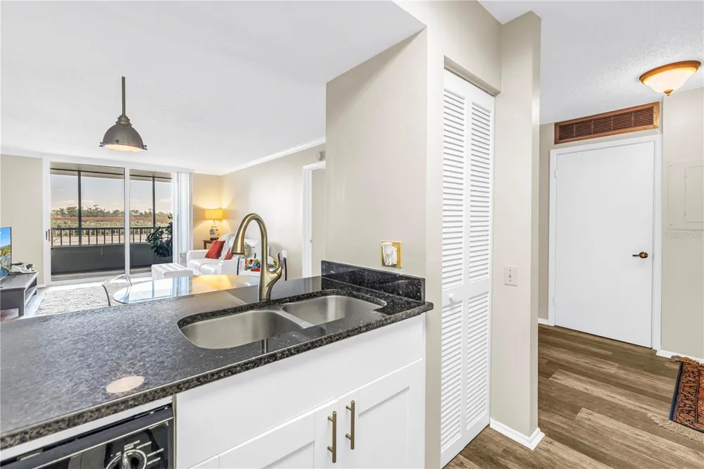 2333 FEATHER SOUND DRIVE #C201 Clearwater, FL 33762