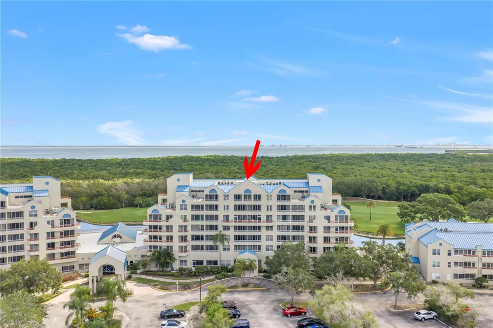 2333 FEATHER SOUND DRIVE #C201 Clearwater, FL 33762