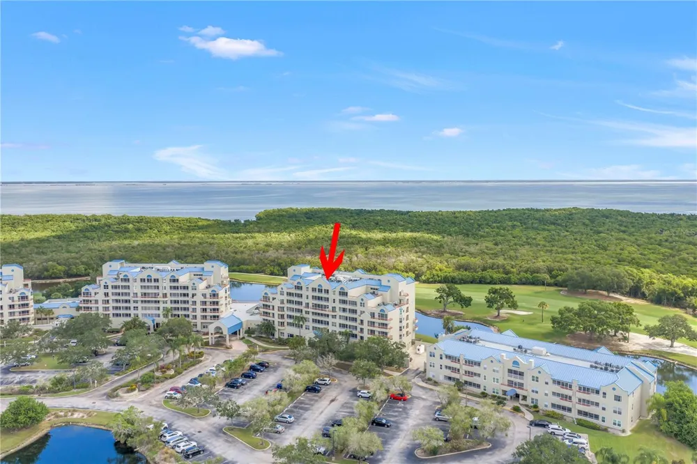 2333 FEATHER SOUND DRIVE #C201 Clearwater, FL 33762