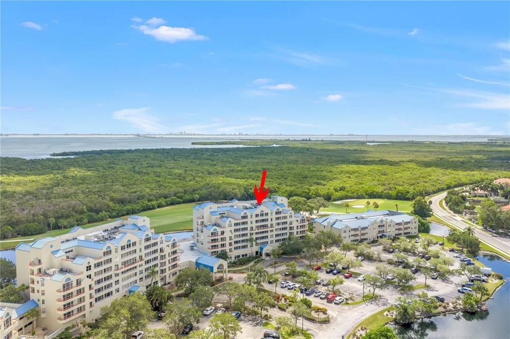 2333 FEATHER SOUND DRIVE #C201 Clearwater, FL 33762
