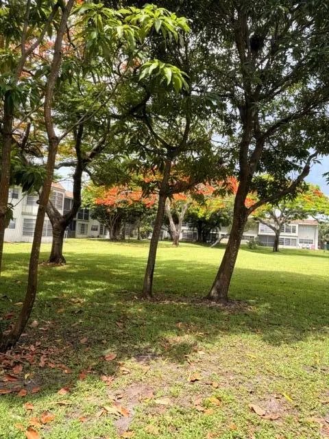607 S State Rd 7 #1g Margate, FL 33068
