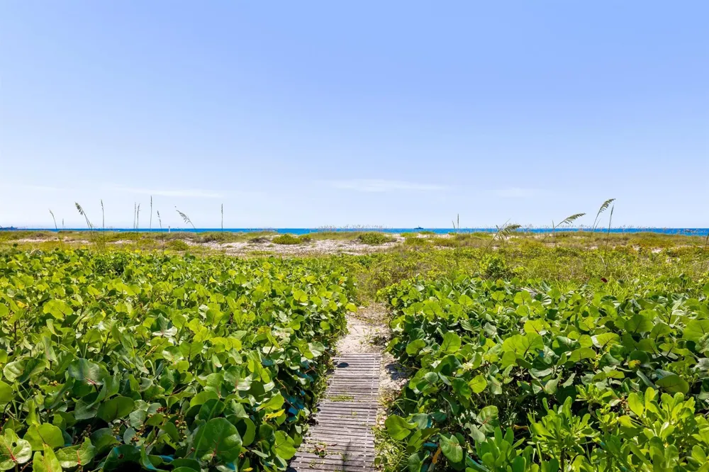 1446 Ocean Boulevard Palm Beach, FL 33480