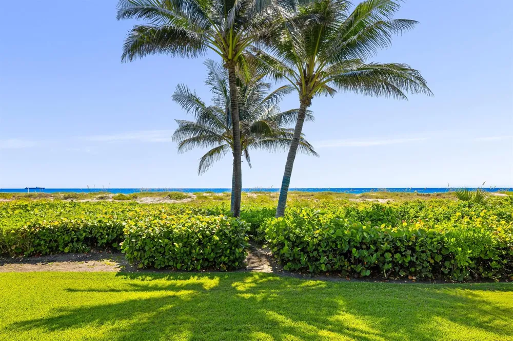 1446 Ocean Boulevard Palm Beach, FL 33480