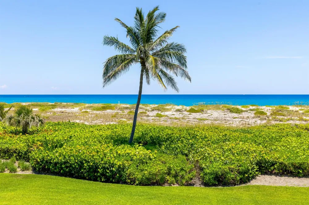 1446 Ocean Boulevard Palm Beach, FL 33480