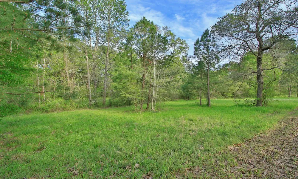 2735 Bobville Road Montgomery, TX 77316