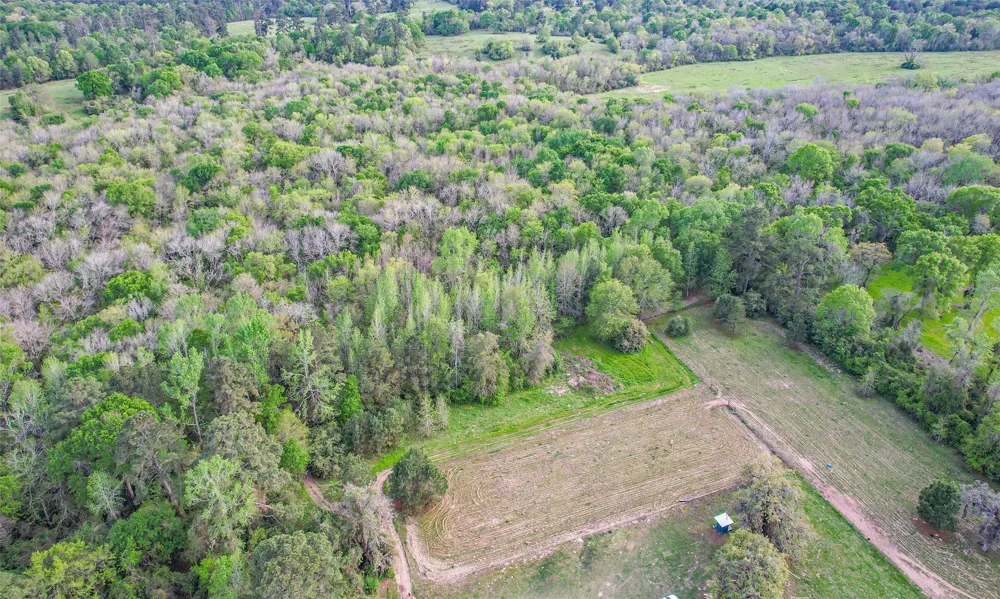 2735 Bobville Road Montgomery, TX 77316